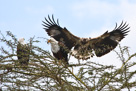 Kenya 2007